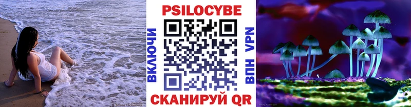 Псилоцибиновые грибы Psilocybe  купить наркоту  Алапаевск 