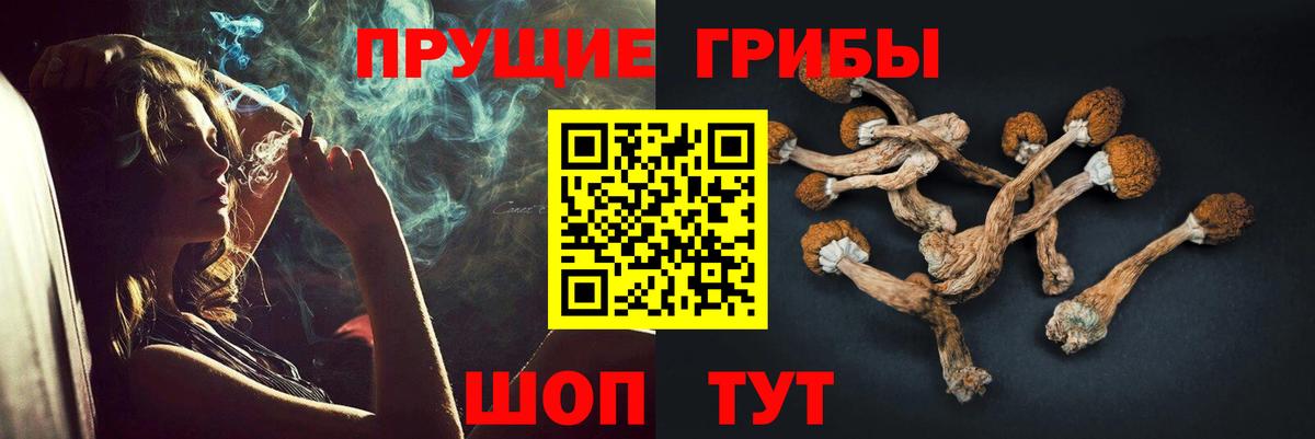 Галлюциногенные грибы Magic Shrooms  Вход с VPN  Алапаевск  Псилоцибиновые грибы GOLDEN TEACHER 